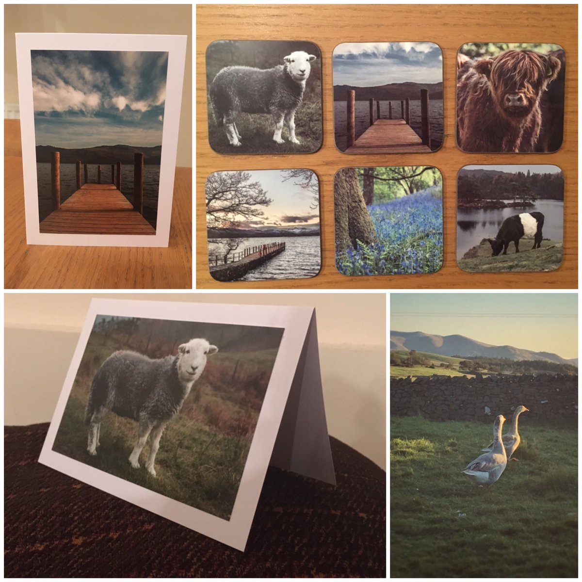 Louise Thompson tweet media