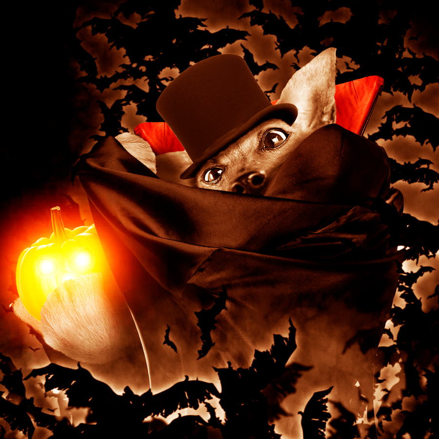 It's spooky time! #HappyHalloween