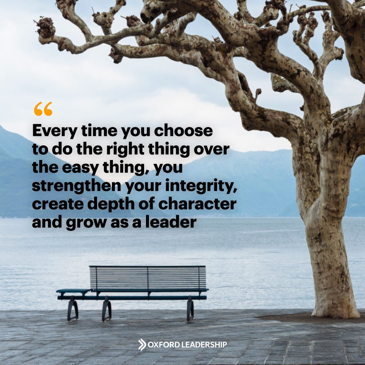 Oxford Leadership tweet media