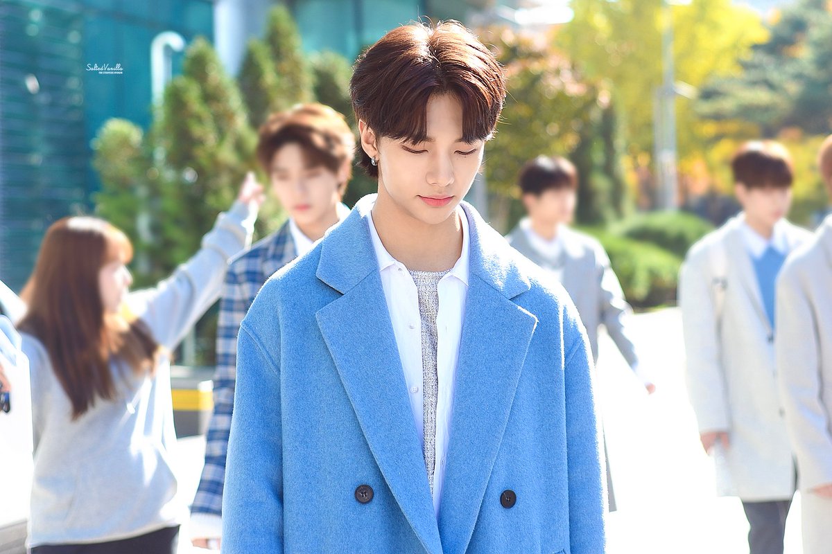 2000320kr's tweet photo. 181031 햇빛이 너무 눈부셔서 눈을 제대로 못떴던 아기 고냥이... #현진 #StrayKids #스트레이키즈 #황현진 https://t.co/eV8XlWRq9f
