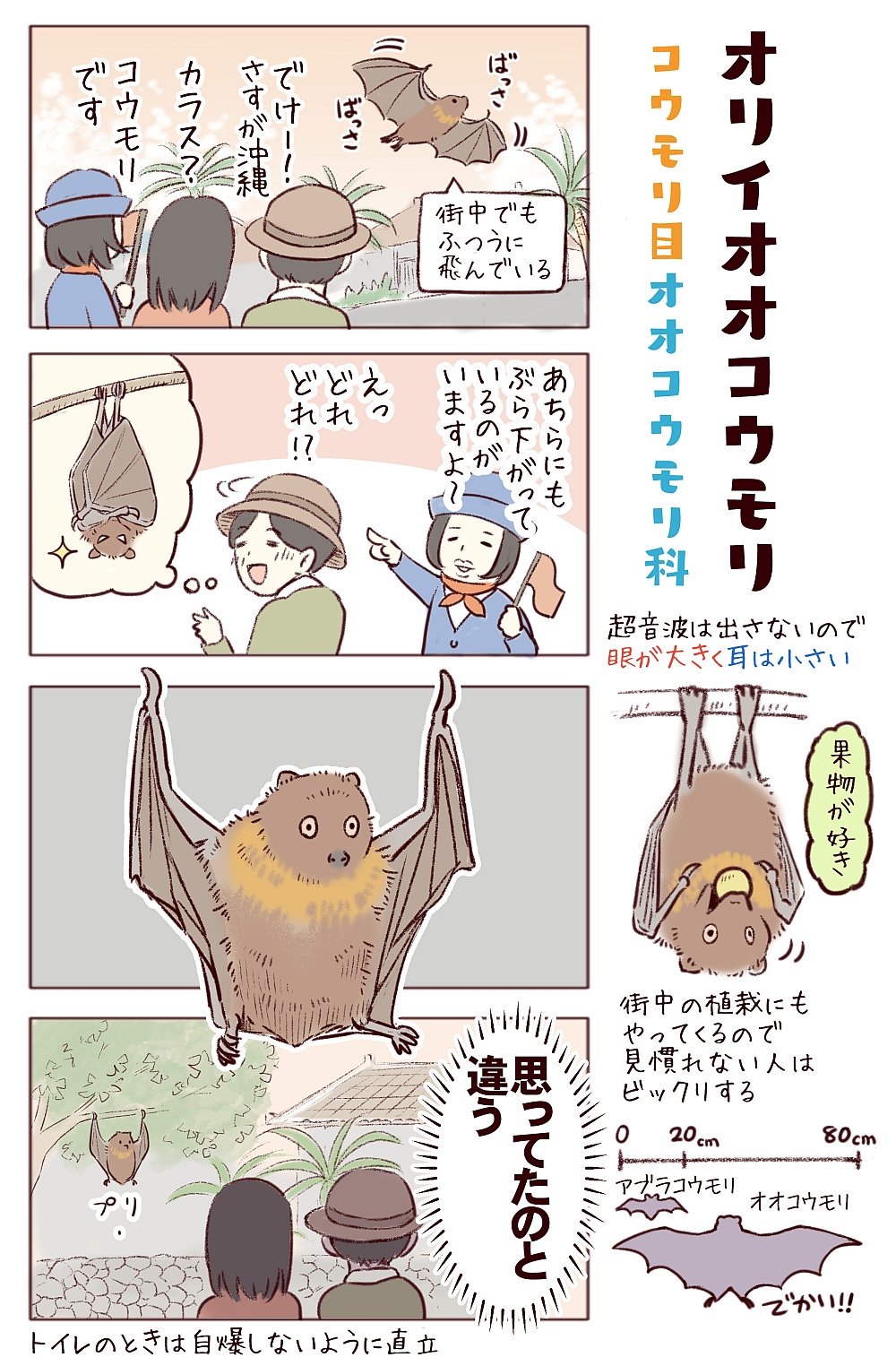 一日一種 わいるどらいふっ 第157 159種 日本のいろんな面白コウモリたち ハロウィン こじつけコウモリ回