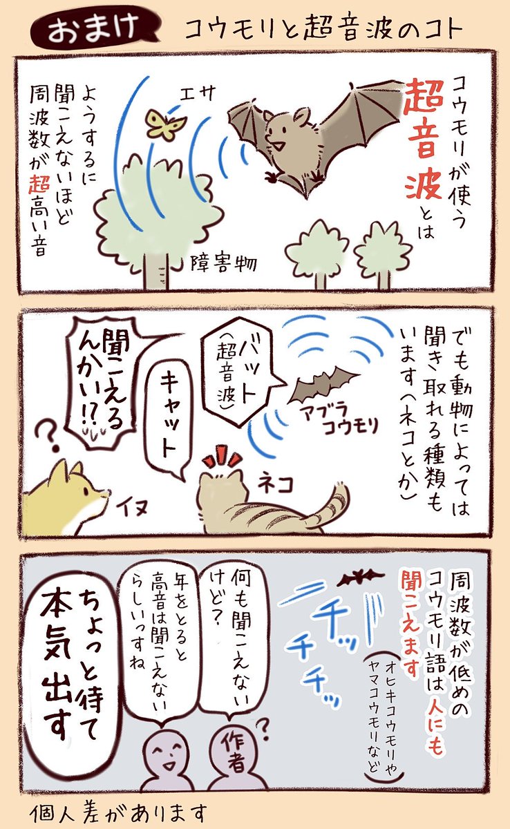わいるどらいふっ!第157～159種
日本のいろんな面白コウモリたち
#ハロウィン こじつけコウモリ回 