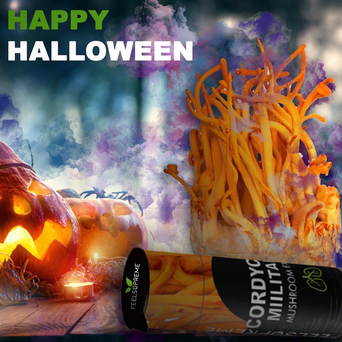 🎃👻15% off our Fantastic Fungi range for today only. Use code HALLOWEEN at checkout. 👻🎃

feelsupreme.co.uk

 Every day looks like Halloween in the weird world of mushrooms.

#sale #halloween #halloweensale #medicinalmushrooms #spookyseason #cordycepsmilitaris