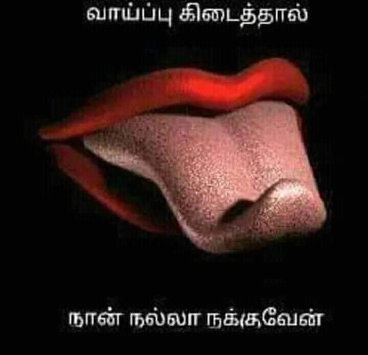 Kumar001288's tweet photo. எனக்கு புண்டையை  நக்க ஆசை https://t.co/sTV3SaOF8f