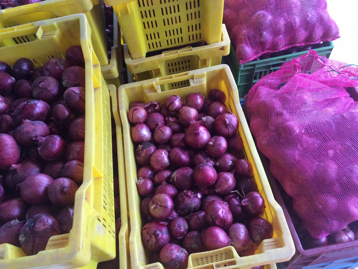 BenokLtd's tweet photo. Now available on sale at just KSH40/KG. Your food will never taste the same again! The best onions in town 😋😋
#agriculture #IkoKaziKE 

Call us on 0700047095 to place your orders. Large quantity orders around Nairobi can be delivered to you. https://t.co/Oc9WfZfepX
