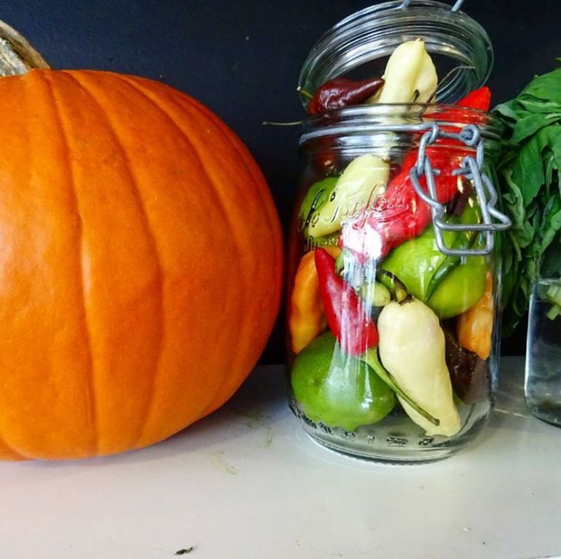 Happy Halloween! 🎃 Featuring a delicious <a href="/souperjuice1/">Souper Juice</a> pumpkin (and some hot chillies to warm you up!)