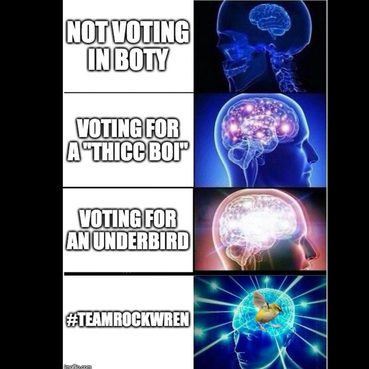 A LITTLE BIRDY has informed us that a bunch of #CHONKYBOIS are currently in the lead...
Have you voted yet? Time to get your game brain on and bring your vote to the table! Hype both your friends and strangers to vote for an #underbird. #letsdothis #borbs #birdoftheyear
