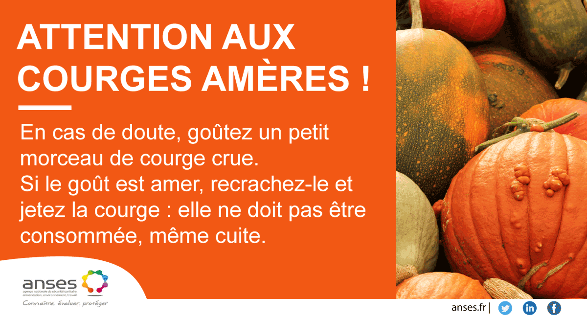 Anses_fr's tweet photo. [#Halloween2019]⚠️Toutes les courges ne sont pas comestibles !
❌Ne consommez pas les courges ornementales 
❌Ne replantez pas les graines des récoltes précédentes
✅En cas de doute, goûtez un morceau cru : s’il est amer, ne consommez pas la courge !
➡️https://t.co/hDgJebAt4j https://t.co/6sSdMkmp7y