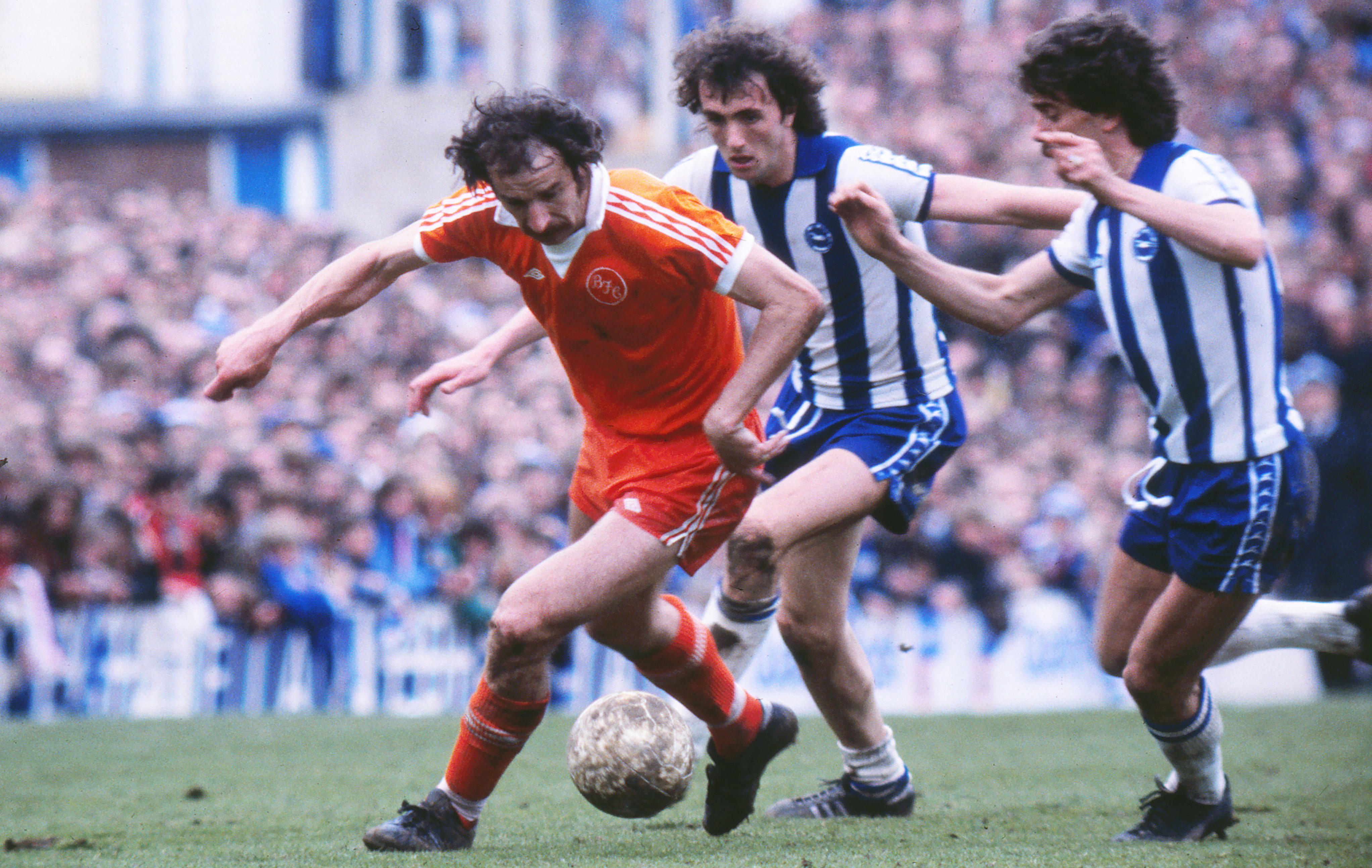 Blackpool fc twitter discount