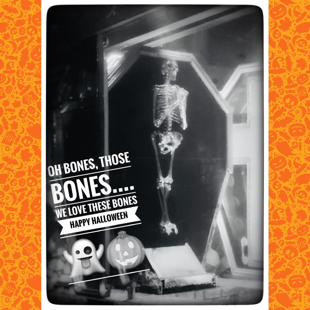 PhysioF's tweet photo. Happy Halloween 👻 🎃
May it be full of treats
We have 206 of these wonderful bones in our body by adulthood, our amazing internal framework
#loveyourbones #boneworks #joints #support #Skeleton #bodyframe #framework #trickortreat #beckenham https://t.co/CHcxlC8Afm