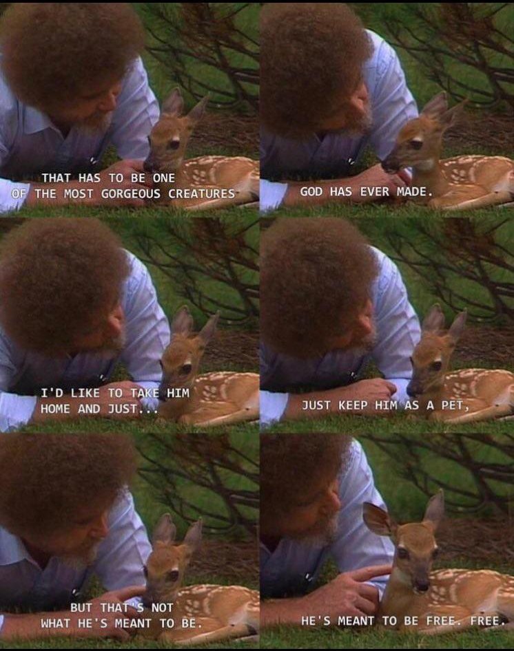 I know its late, but happy birthday Bob Ross. Bruh. yeet! 
