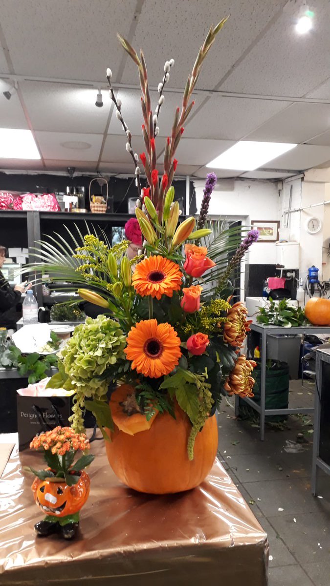 RodgersFlorist's tweet photo. Pumpkins aren't just for carving π we've created some spook-tacular flower displays perfect to decorate your home this Halloween π» #halloween #pumpkin #pumpkindisplay #flowerdisplay #autumn #manchester #manchesterflorist https://t.co/E34rxplooZ