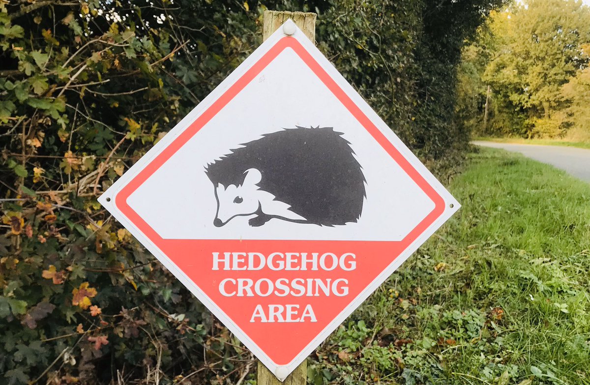 Grain Brewery (@grainbrewery) on Twitter photo Grain is in Alburgh, probably the most hedgehog-friendly village in Norfolk. But hedgehogs are in trouble, so weâve brewed Prickly Pig to help the cause. Read more... grainbrewery.co.uk/news/whoe-doesâŚ
<a href="/EDP24/">Eastern Daily Press</a> Grain is in Alburgh, probably the most hedgehog-friendly village in Norfolk. But hedgehogs are in trouble, so weâve brewed Prickly Pig to help the cause. Read more... grainbrewery.co.uk/news/whoe-doesâŚ
<a href="/EDP24/">Eastern Daily Press</a>
