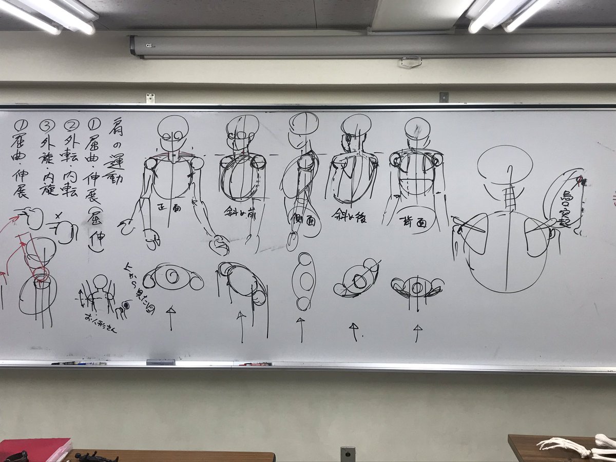 #今日の人体イラスト
肩の動きはとっても複雑。 
