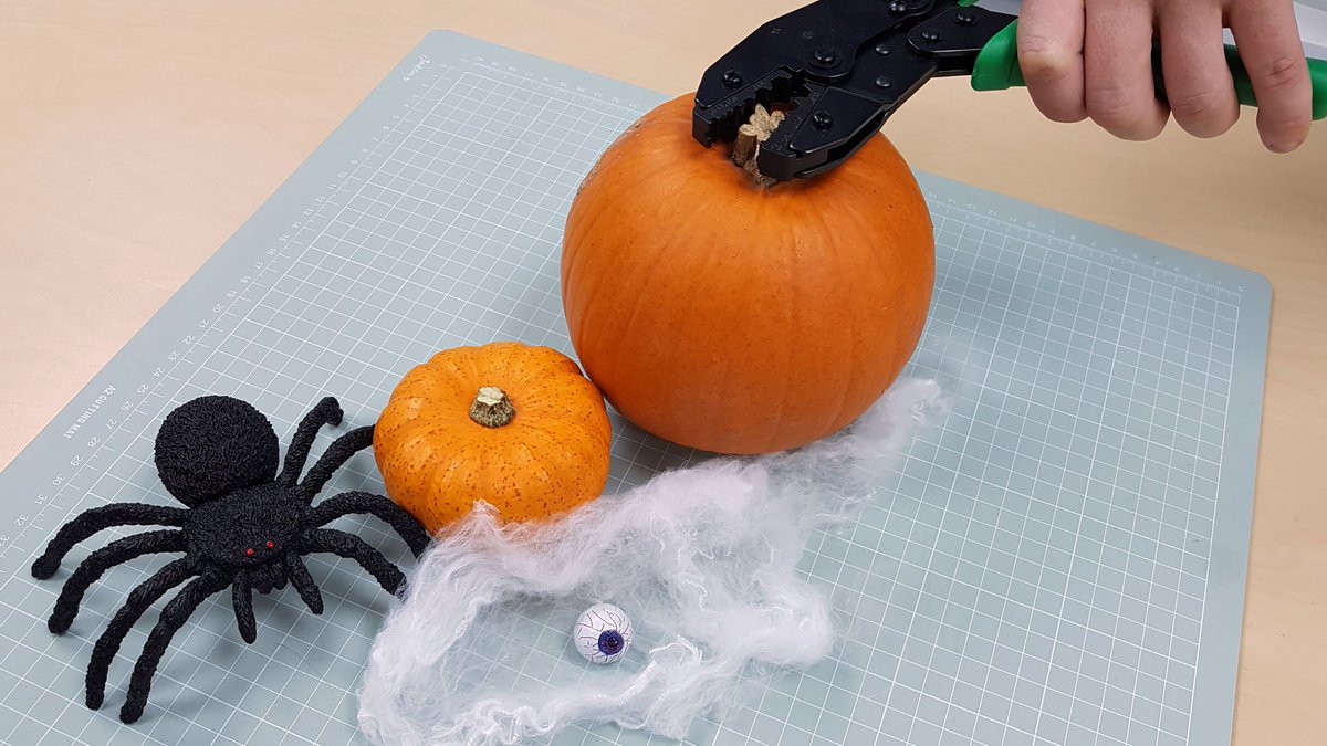 WiAntenna's tweet photo. Picking your perfect pumpkin 🎃 Celebrate #Halloween with 5% OFF across our store with voucher code SCARY19 until 05/11/19 👻

Browse store: https://t.co/OEUkqcAN8N https://t.co/rohekZ6y5w