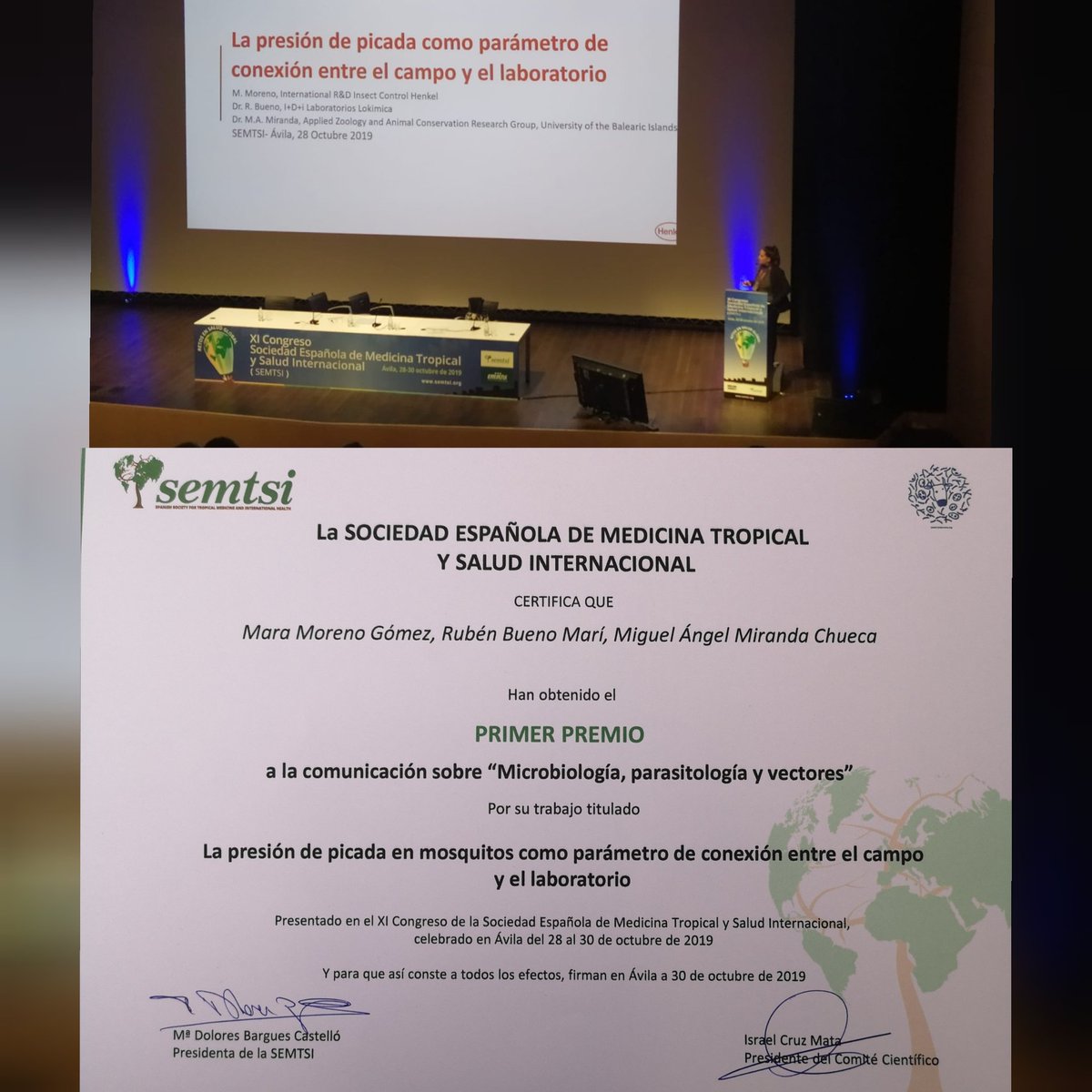 Happy and proud to have the opportunity to talk in the #SEMTSI2019 congress about our last study and being rewarded for our #oralpresentation about #Mosquitoes #Vector #fieldwork #laboratorytest @rubueno10 @MAMirandaTweet