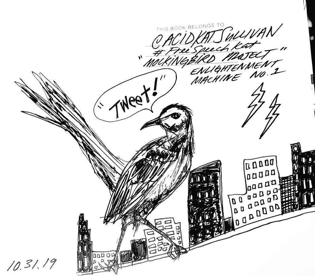 AcidSullivan's tweet photo. Enlightenment Machine no.1 continues with @AcidKatSullivan's
#MockingbirdProject
Pamphleteer: During times of political unrest, such as the French Revolution, pamphleteers were highly active in attempting to shape public opinion.
Shout out #ThomasPaine
#Sullivan #freespeechkat https://t.co/wHSRtRL7xe