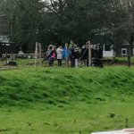 Photo by Stonebow Primary Sch (@StonebowSch)