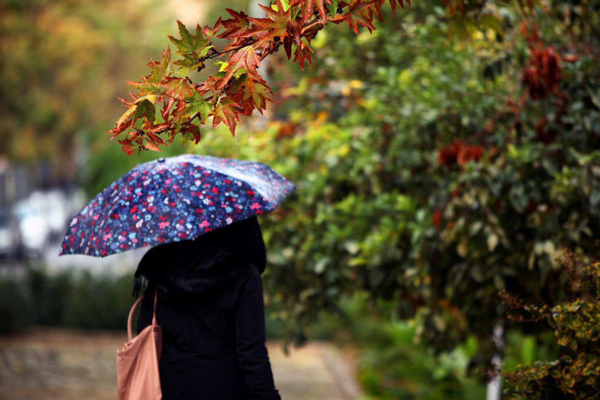 Tarbiat Modares University tweet media