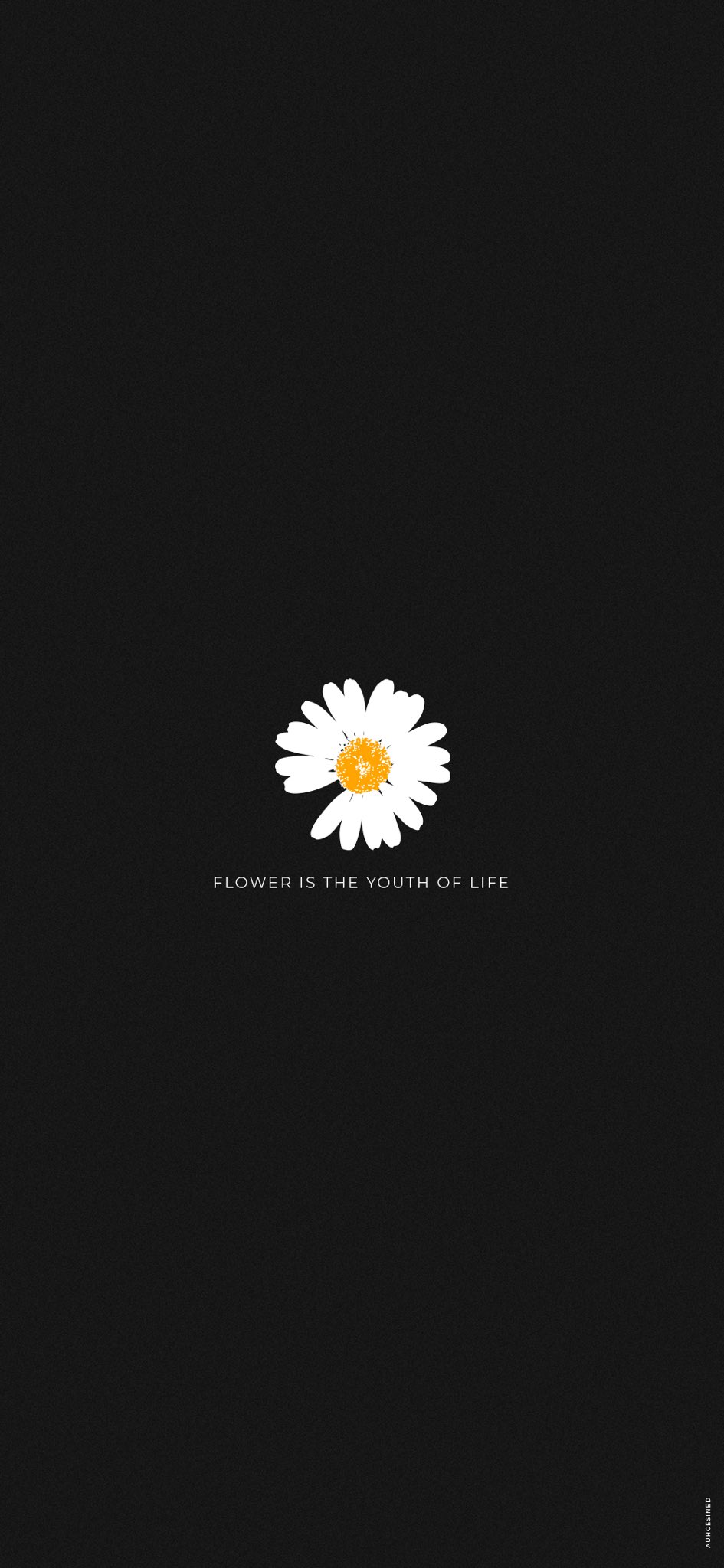 Bigbank For Bigbang Wallpaper G Dragon Instagram Post 1 Floweristheyouthoflife T Co Yntudgfkw4 Bigbang Gdragon T Co Se1n1hhftw Twitter