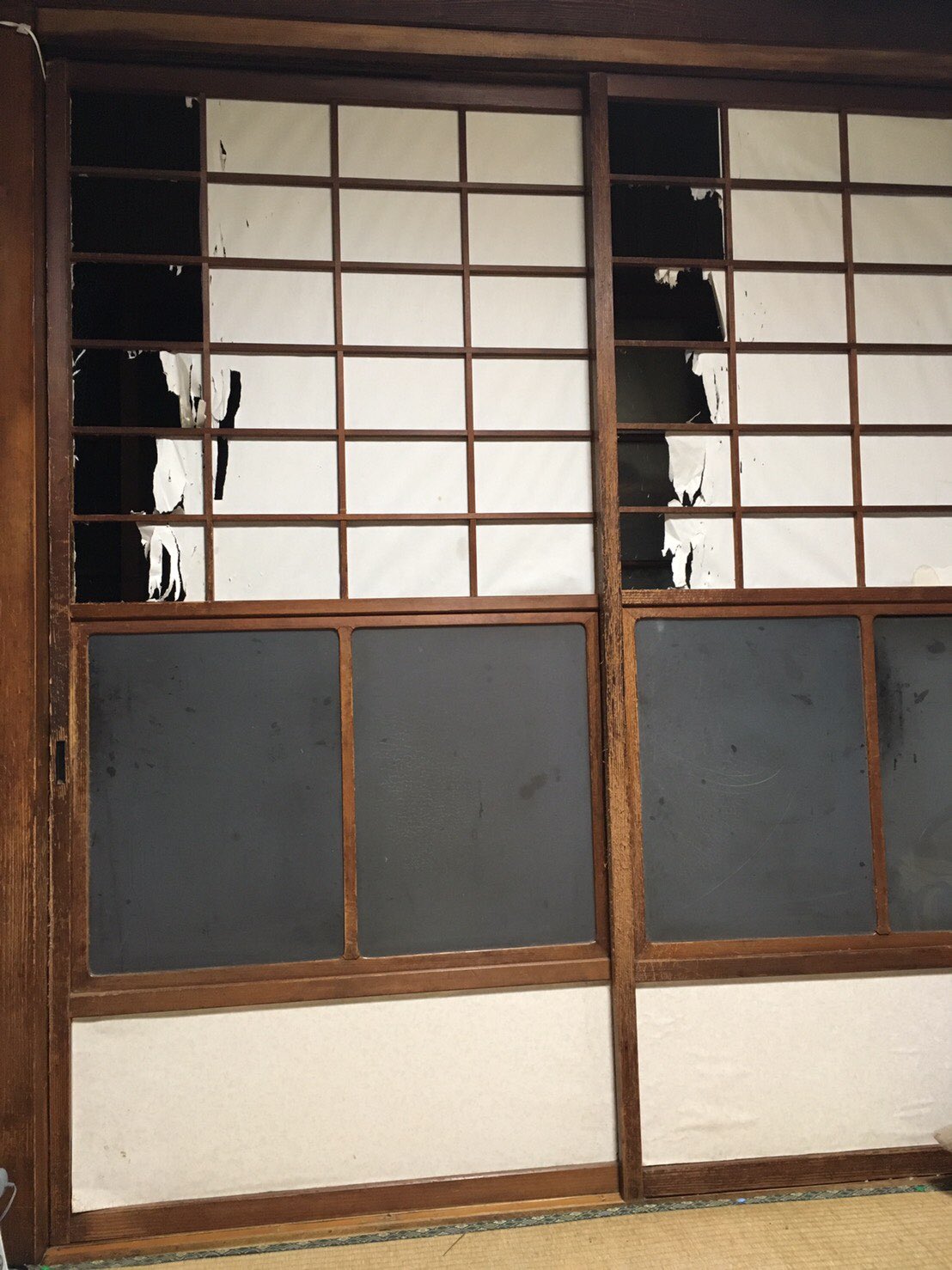 よしだ 実家 猫ズが障子破り出して廃墟みたくなってたのをたまたま帰った兄が発見し猫対策障子 お疲れwごめん知ってたけどそうそう と思って流してたww T Co M91kaedglt Twitter よしだ 実家 猫ズが障子破り出して廃墟みたくなってたのをたまたま帰った兄が発見し猫対策障子 お疲れwごめん知ってたけどそうそう と思って流してたww T Co M91kaedglt Twitter