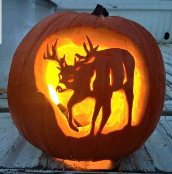 Deer Pumpkin Stencil deer-pumpkin-stencil