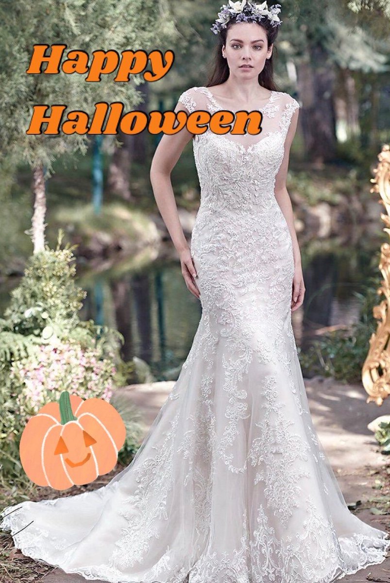 Happy Halloween! 🎃  There’s just 8 weeks left to grab an amazing bargain before we close. Book in now to avoid missing out x