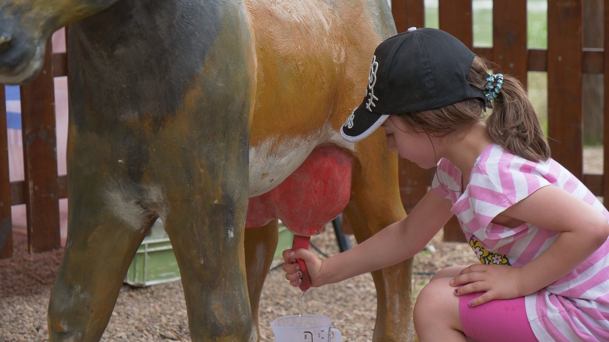 A la Fira del Formatge de  Camprodon🧀els més petits podran munyir la cabreta i fer de grangers/eres per una estoneta!!🐏

Recorda els dies 1, 2 i 3 de novembre Fira del Formatge a Camprodon!!👌👌

#valldecamprodon #Camprodon #Formatges #firaformatge #Ripollès
#cheese