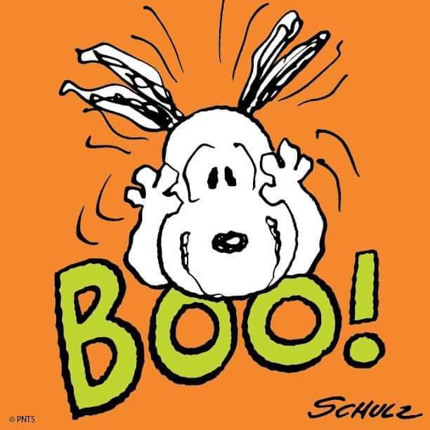 Happy Halloween!! 🎃 👻