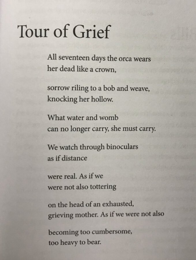 Gayle J Greenlea On Twitter Beautiful Grieving Of The Whale Of The World I Feel Hollowed Out Just Reading Like A Flute Making Room For The Breath Thank You For This