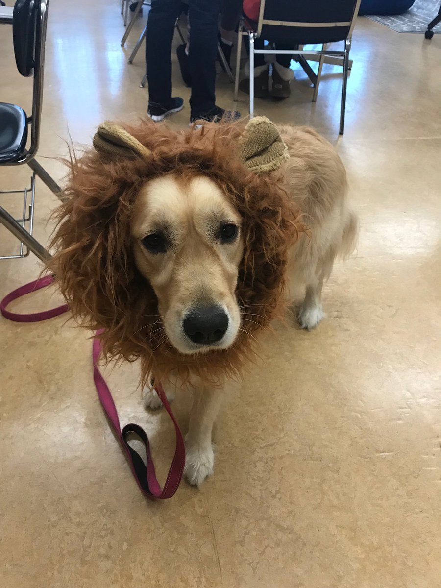 Happy Halloween from Jeter!! #allin4theville ⁦<a href="/scotthade/">Scott E. Hade</a>⁩ ⁦<a href="/SHS_M_A_P_S/">Ville MAPS Program</a>⁩ ⁦@EdTechlete⁩ ⁦@Ville_Sup⁩ ⁦<a href="/VilleGuidance/">SHS Counseling Dept.</a>⁩ ⁦<a href="/VilleWBBall/">SomervilleHS WBB</a>⁩