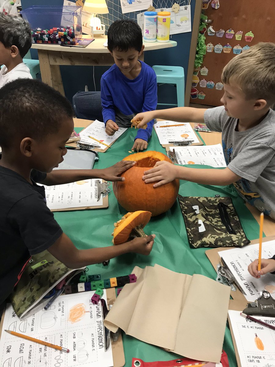rgardner116's tweet image. Firsties spend the  morning investigating pumpkins! 🎃 #howmanyseeds #howmanyribs #sinkorfloat @HoneygoElem