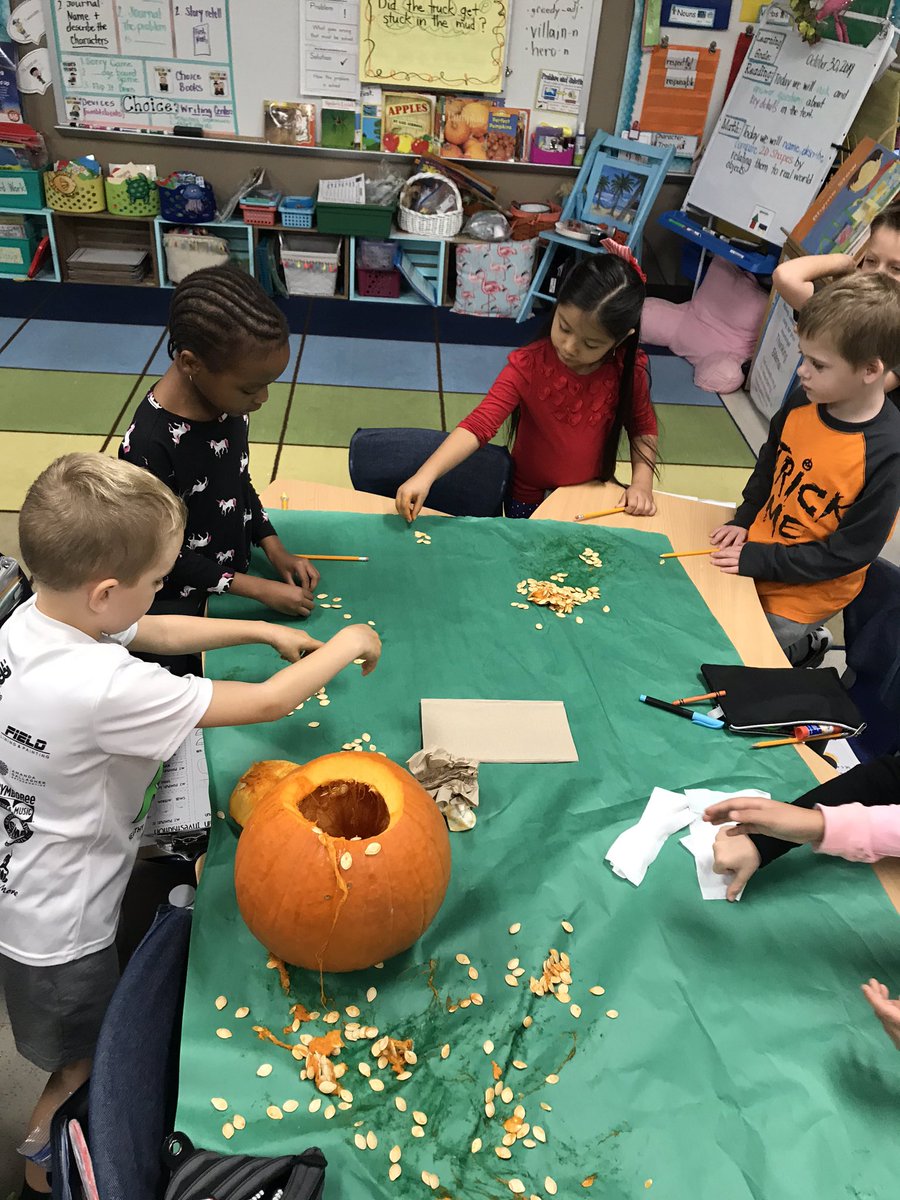 rgardner116's tweet image. Firsties spend the  morning investigating pumpkins! 🎃 #howmanyseeds #howmanyribs #sinkorfloat @HoneygoElem