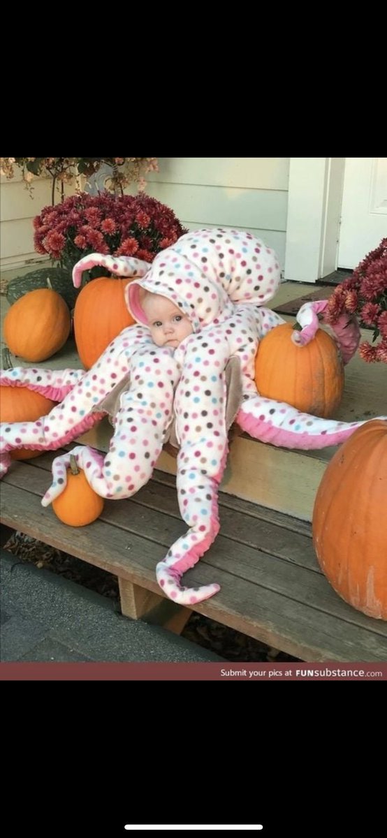 Hauserx44's tweet photo. @hahabita I have no babies to share but I like to think I gave @kaylamiz fantastic (yet slightly terrifying) suggestions https://t.co/tvzwWmncYF