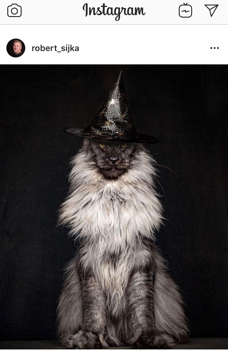 Hashtag Robertsijka Sur Twitter