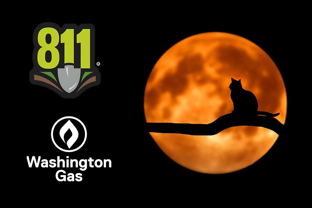 Washington Gas tweet media