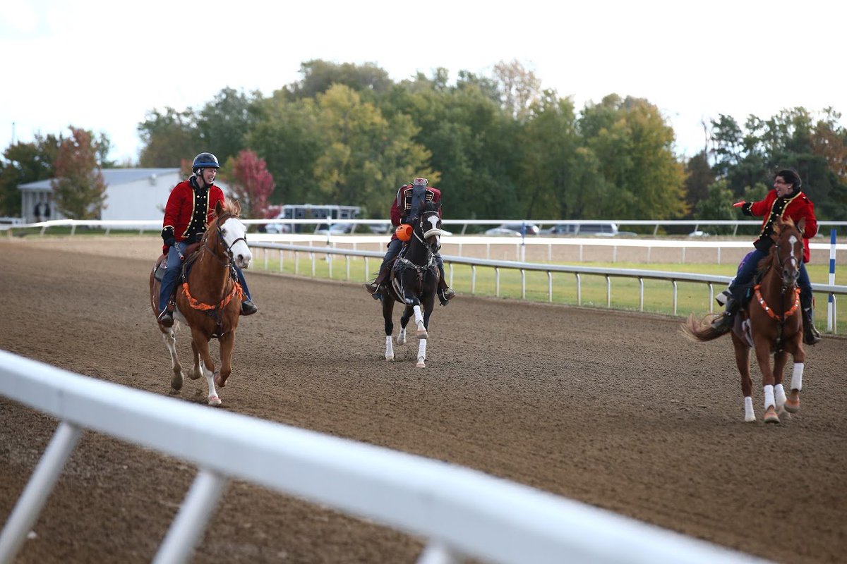 Ajax Downs Live Quarter Horse Racing Ajax Ontario
