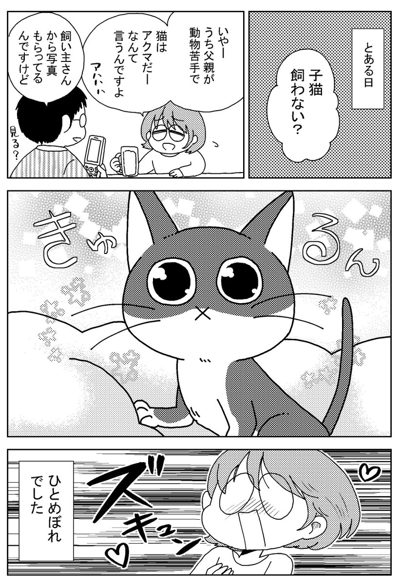 猫が来た日、前編① 