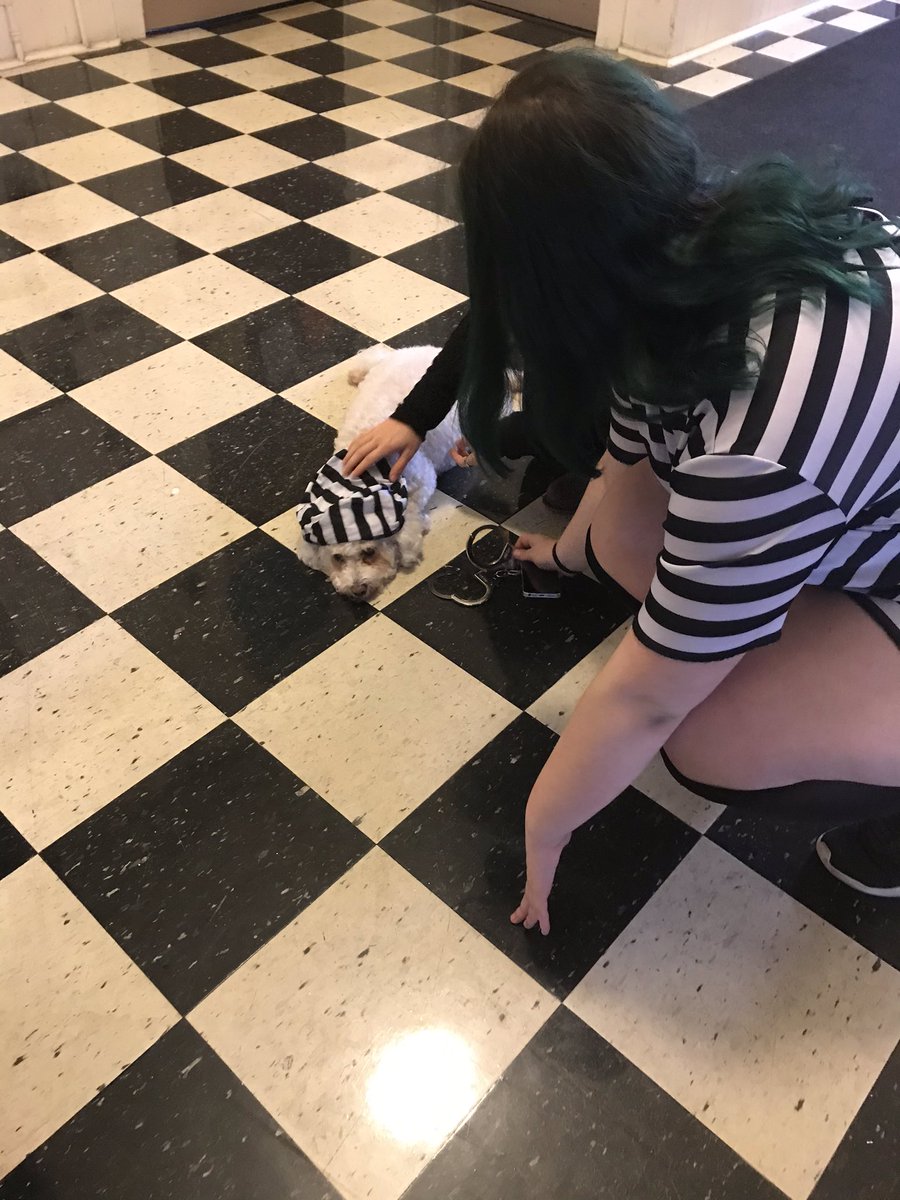 Halloween dog visit! Jenga @3legsandaspare won the best costume. #dogtherapy