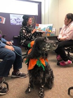 MsMonegato tweet media