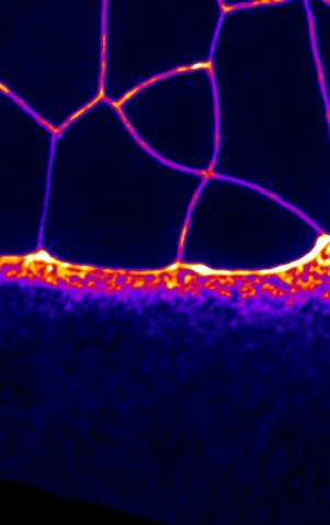 Heisenberg Lab tweet media