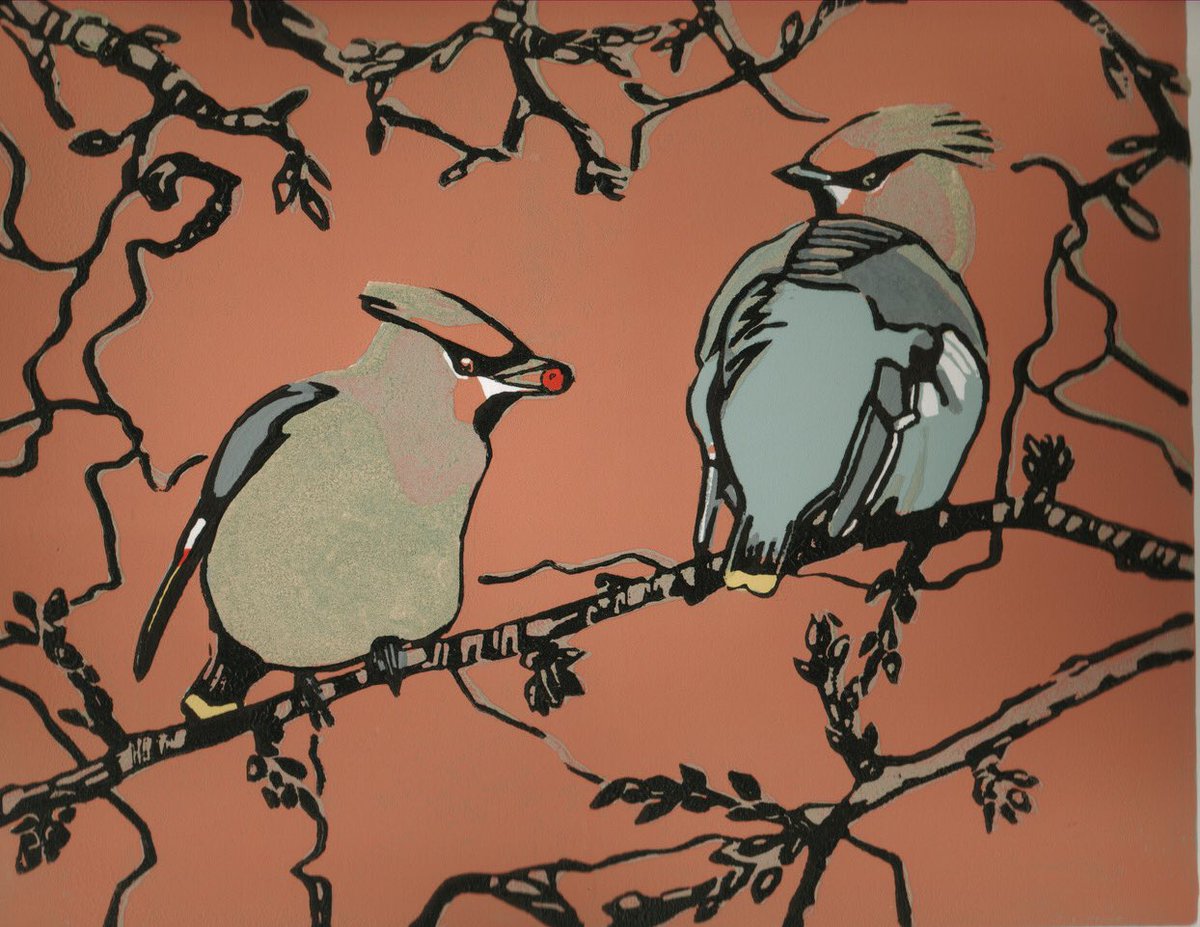 maxangusmaker's tweet photo. There’s a rare ‘The Waxwings explorers’ that’s just arrived at ⁦@grapevine_art⁩ gallery, Burnham Market. Also a selection of other linocuts I had stored away in #Norfolk .  #waxwing #linocut #printmaking https://t.co/wvtj2etVC4