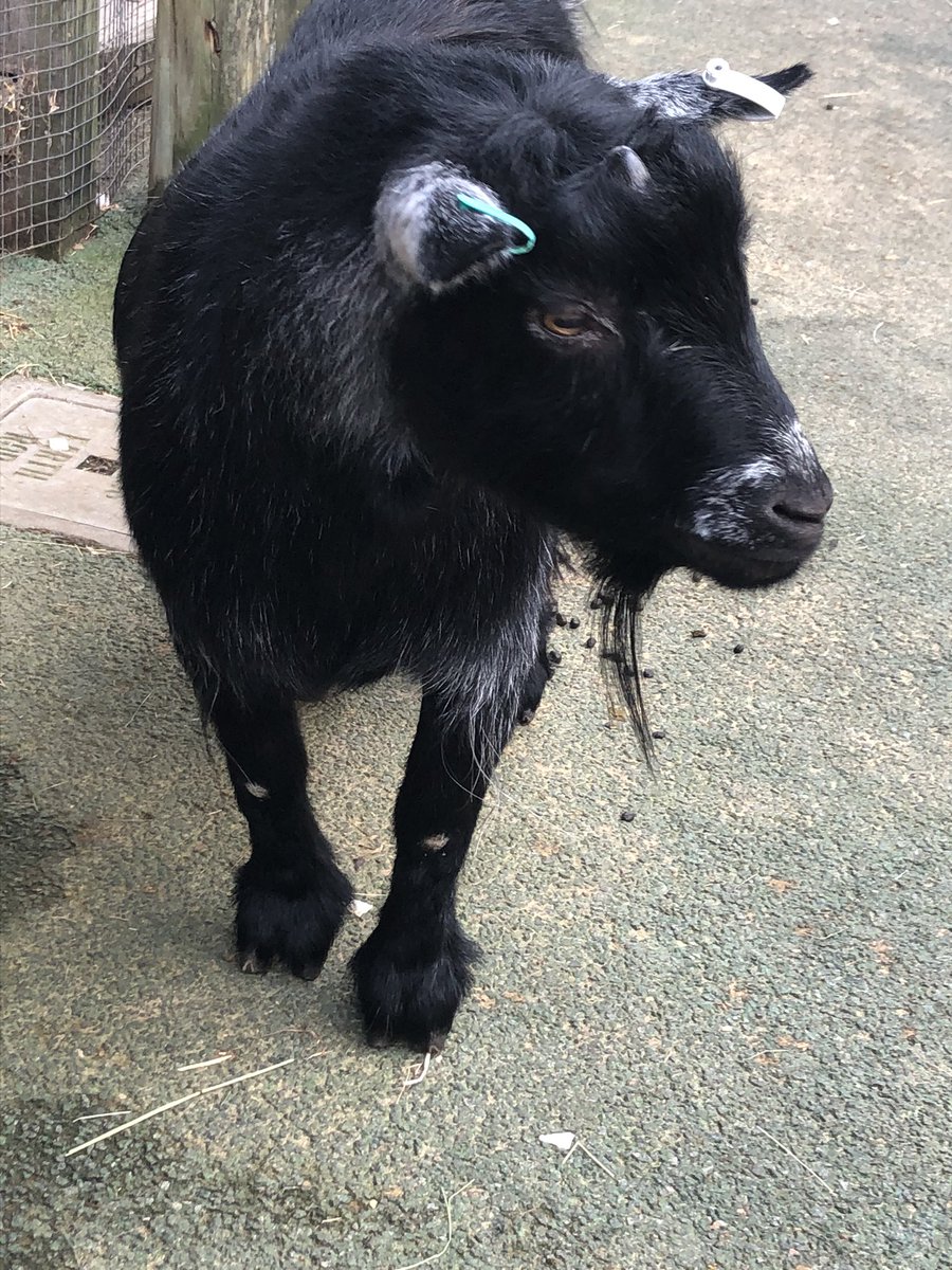 Just met up with <a href="/SSamueII/">.</a> see you again soon mate