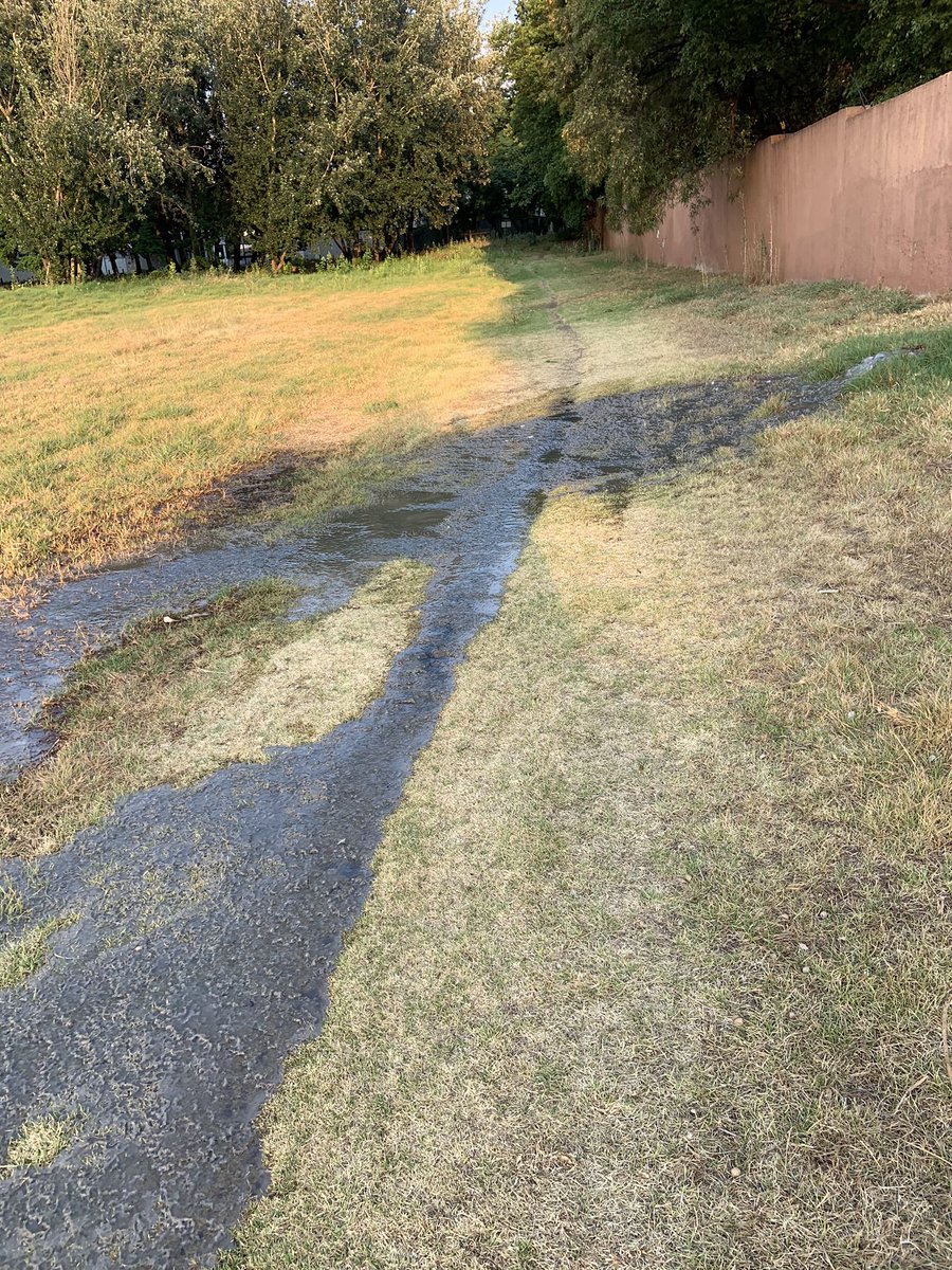 KeithMacStuff's tweet photo. Sewer now overflowing in the park between Westminster and Petunia. In Bryanston @JHBWater https://t.co/a61RRk4sYN