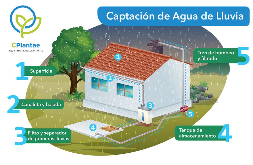 ¿Qué tan útil es el sistema de captación de lluvias? Conoce la respuesta en el siguiente diagrama: