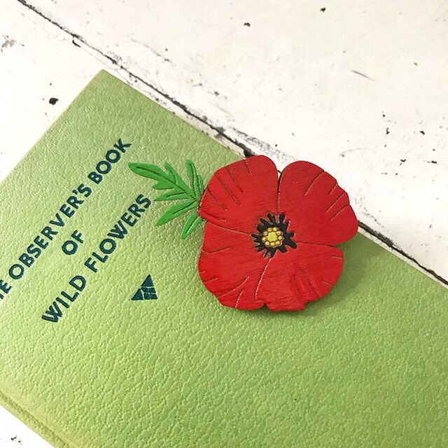 Colourful_Cactus_F tweet media