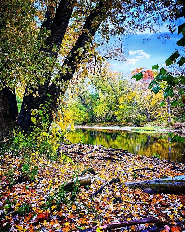 brockawillis's tweet photo. Fall day at the canoe launch. #nature #naturephotography #landscapephotography #naturalindiana #indiananature #myindiana #igersindiana #igersindy #riverside #tree #trees #fall #autumn #iphonexsmax #visithc #shotoniphone #indiana_explored #river #goexplor… https://t.co/0lo497qNH0 https://t.co/tT3nKoi0kj