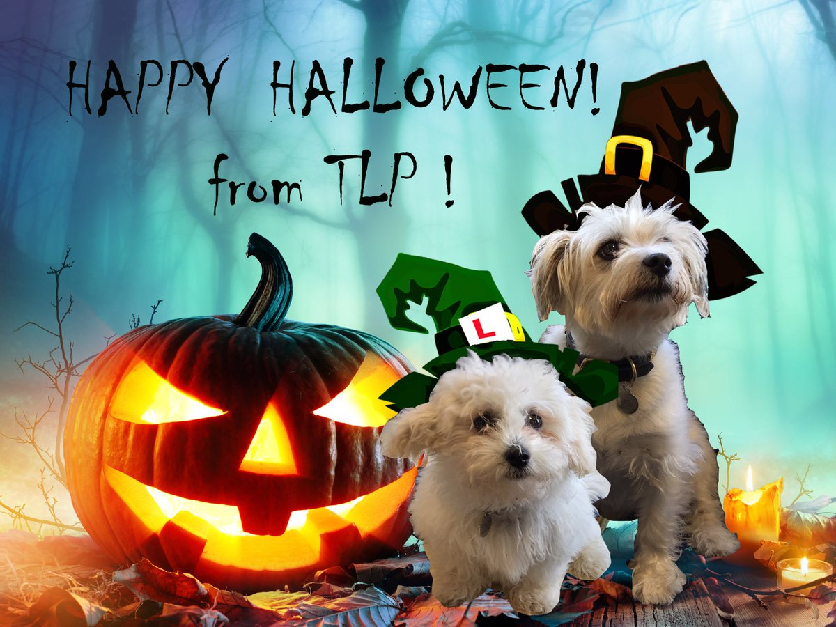 Happy Halloween!!  from Bert, Harry-Sykes and everyone else #TheLettingPartnership. 😱  We hope your day is filled only with treats!  #Halloween #Lettings #OfficePups <a href="/LettingPartner/">The Letting Partnership</a>