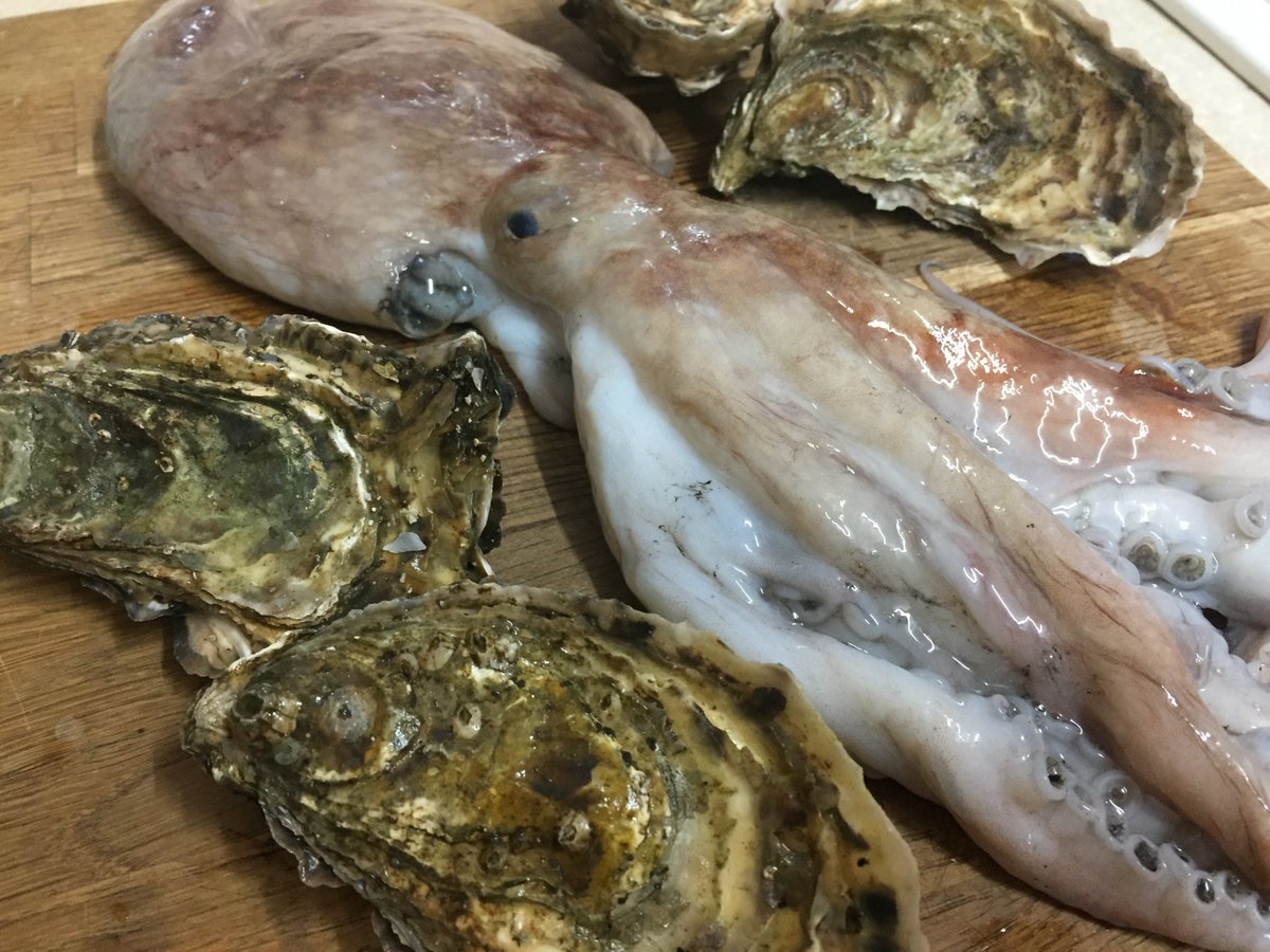 Naoko Kashiwagi tweet media