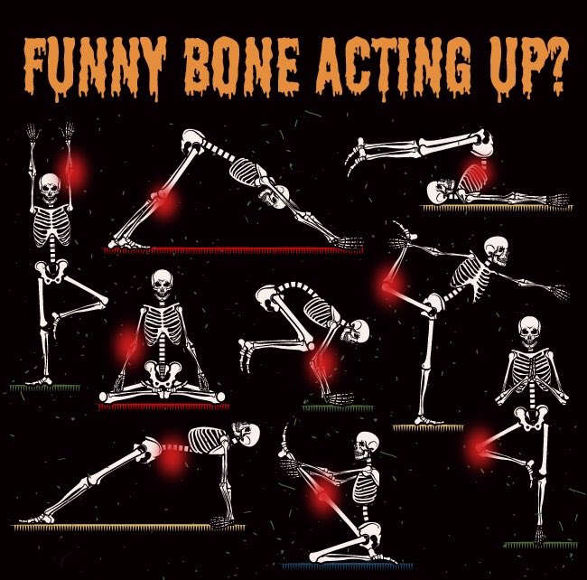 Happy Halloween 🎃 Keep your skeleton healthy at #katereeselitephysioservices appointments available for next week why not try online booking 👻